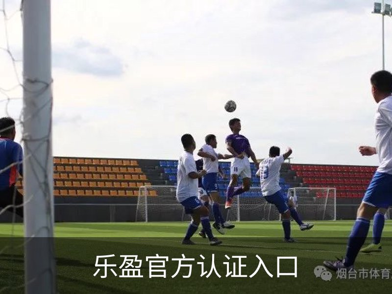 乐盈官方认证入口概况